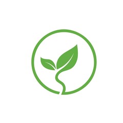 green  leaf  icon vector concept  design template