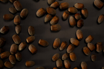 Obraz premium Top View of Hazelnuts Freely Scattered on a Black-Gray Grunge Background. Healthy Vegie Food in Natural Evening Light.