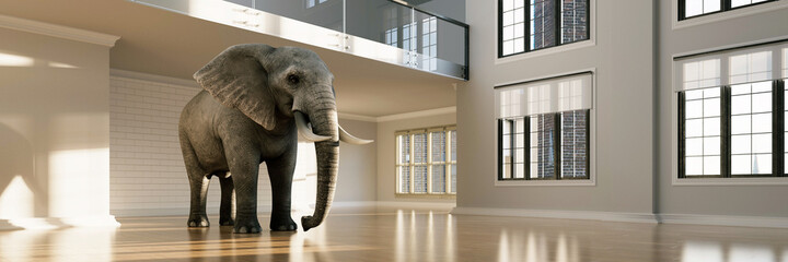 Großer Elefant im leeren Büro oder Halle als Platz Konzept