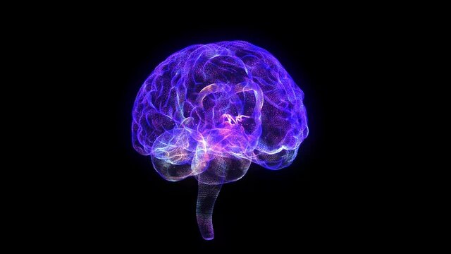Human brain. Glowing blue light line of human brain model. Seamless looping motion animated neurons.