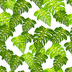 Monstera leaf seamless pattern with hand drawn tropical print. Modern nature background. Vector illustration for seasonal textile .