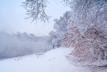 Hoarfrosty trees, Moscow region, Russia