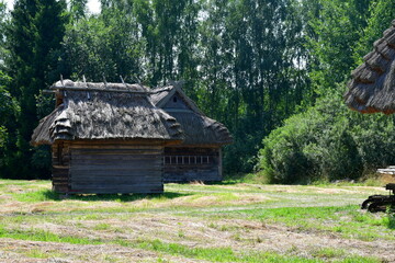 Obraz premium A view of an old wooden hut or shack made out of wood standing in the middle of a dense orchard or forest, seen during a sunny summer day during a hike on a Polish countryside