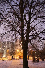 Snow-covered city block on winter evening