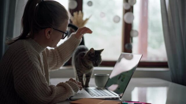 A young girl wearing glasses typing on a laptop while working or studying from home and her cute cat is walking around.