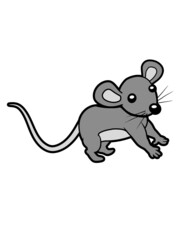 Graue kleine Maus 