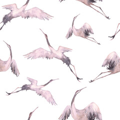 Seamless pattern with cranes. Birds wallpaper design.