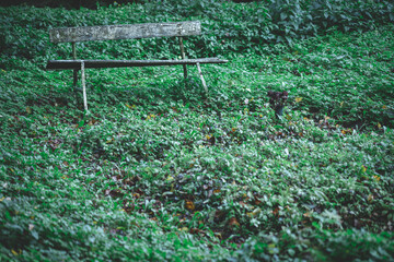 Old retro homemade makeshift broken vintage small concrete garden bench partially covered with...