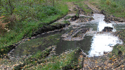 Empty rugged dirt road with puddles in green pine and spruce forests in summer. Light and shadows in sunny day. Natural background