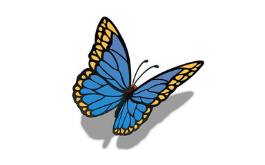 Fototapeta na wymiar butterfly monarch perspective vector illustration white background 나비 일러스트 blue