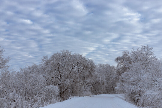 country road bending right, trees covered with frost and snow, beautiful clouds in sky, perfect winter day