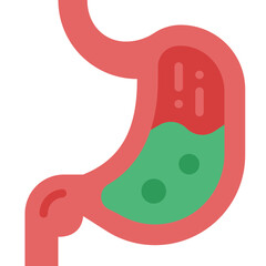 stomach flat icon