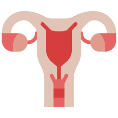 uterus flat icon