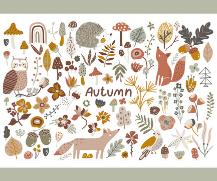 Autumn collection with fox, owl, forest elements. mushroom, leaves. Floral fall vector clipart.