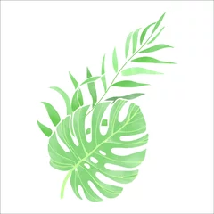 Wandaufkleber Monstera grünes Blatt isoliert auf weißem Hintergrund