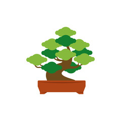 Bonsai Tree vector flat illustration