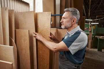 Concentrated bearded craftsman choosing veneer in workshop