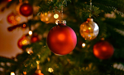 Fototapeta na wymiar Christmas decorations on the pine branch bokeh effekt
