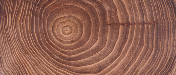 Fototapeta na wymiar Concentric brown tree cross-section with annual rings