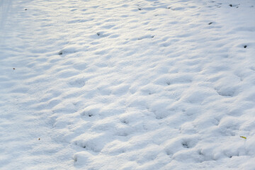 Snow covered lawn as an abstract background texture, concept for winter, weather and nature, copy space