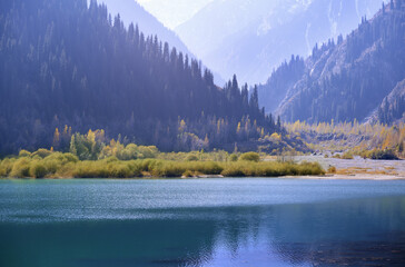 Mountain Lake with plants and trees in USA