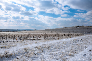 Hilly white vineyards in the sunshine. Frozen vineyard in white winter with slightly cloudy weather. Snow-covered winter landscape in Austria's wine district