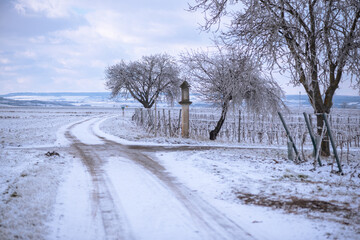 Snow-covered path in the vineyards. Frozen vineyard in white winter with slightly cloudy weather. Snow-covered winter landscape in Austria's wine district
