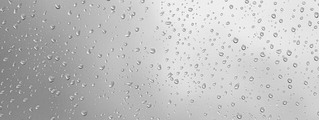 Background of water drops
