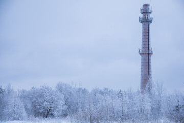 Fototapeta na wymiar A lonely tower in hoarfrost towering over the forest