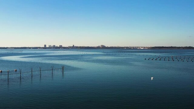 Mussel farm in the Mar Piccolo of Taranto in the morning