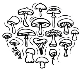 A set of simple doodle mushrooms of different types (honey agarics, toadstools,  chanterelles). Black contour isolated on white background. Vector. Coloring book for children theme of autumn.