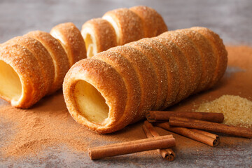 Trdelnik is a traditional sweet cake made from yeast dough held around a stick, then fried and sprinkled with sugar and cinnamon close up on the table. Horizontal