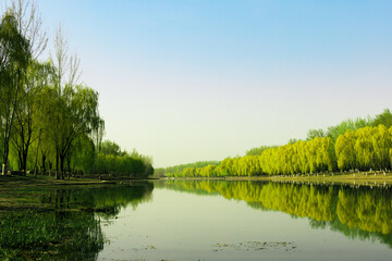 China Beijing Summer Palace misty lake and tree view