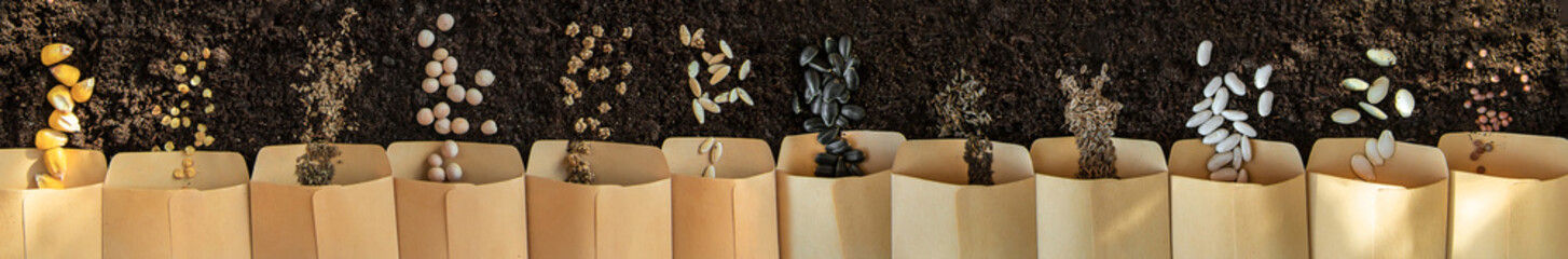 Seeds in bags on the soil. Selective focus.