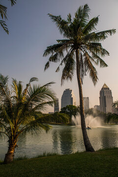 Lumpini park is the major recreational area in the heart of the city
