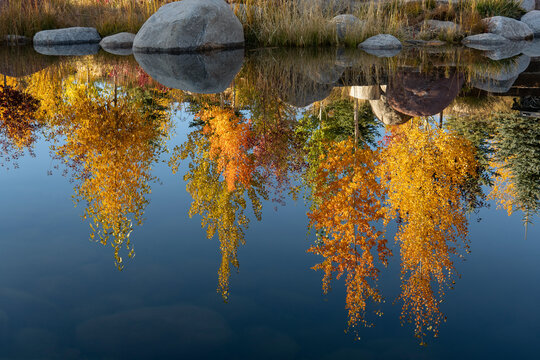 Reflection of trees in calm lake during autumn