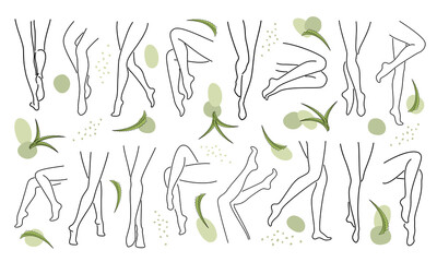 Collection. Silhouettes of lady legs, feet and aloe vera leaves in modern style. Solid one line drawing, outline for decor, wall posters, stickers, logo. Set of vector illustrations.