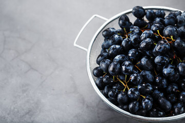 Ripe black grapes in a metal bowl on a black background.