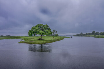 A rainy day in rural area of Bangladesh