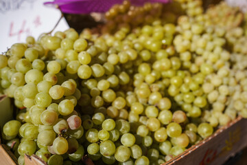 Sun shines on heap of green or white grapes displayed at street market