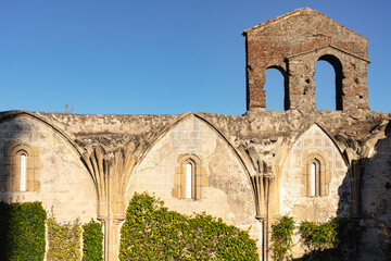Fototapeta na wymiar Old ruins of the Coria convent or San Francisco El Real covered by climbing plants at sunrise, Trujillo, Caceres, Spain