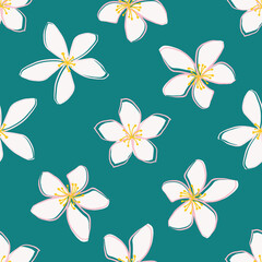 Jasmine floral vector seamless pattern background. Line art hand drawn flower heads, blossom, leaves, petals. Teal white backdrop. Botanical repeat for medicinal healing plant. All over print