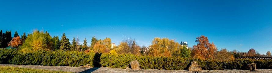 Park in autumn - panoramic shrubs, flowers, trees.