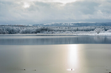 Winter forest near the lake. Sunny and snowy day.