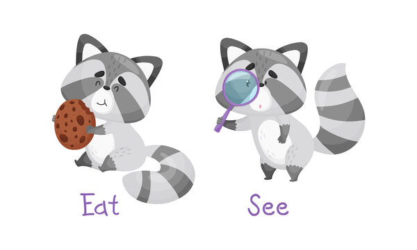 Learning eat and see verbs of action set. Cute cat in different poses and movements. Educational visual material cartoon vector illustration