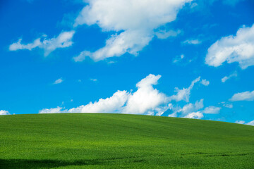 Obraz na płótnie Canvas green field and blue sky