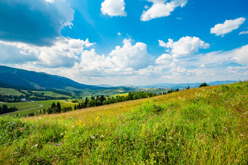 beautiful countryside. sunny day. beautiful spring landscape in the mountains. grassy fields and hills. rural landscapes of mountains and coniferous forests and blue sky with white clouds.