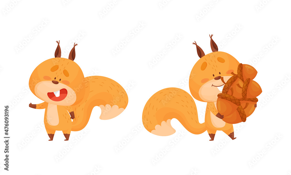 Wall mural Cute squirrel various activities set. Lovely cheerful forest animal character carrying pile of acorns vector illustration