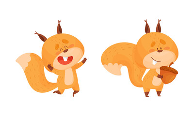 Cute squirrel various activities set. Lovely forest animal character vector illustration