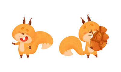 Cute squirrel various activities set. Lovely cheerful forest animal character carrying pile of acorns vector illustration